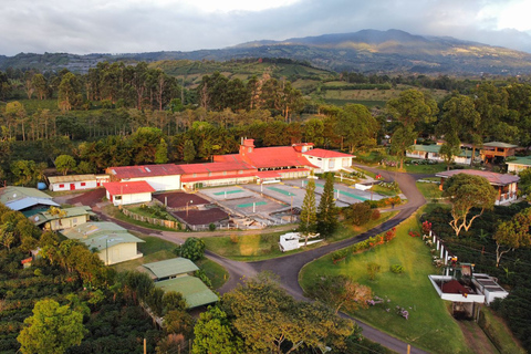 Alajuela: Geführte Tour durch die Kaffeeplantage mit Verkostung