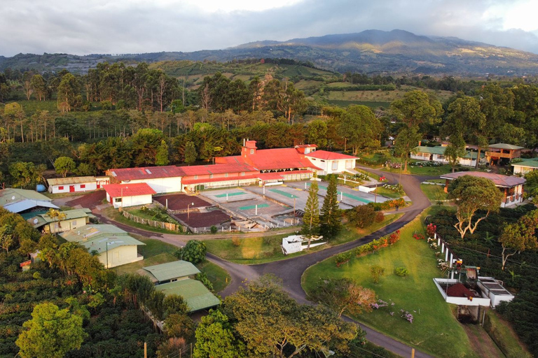 Alajuela: Tour guiado por la plantación de café con degustaciónAlajuela: Visita guiada a una plantación de café con degustación