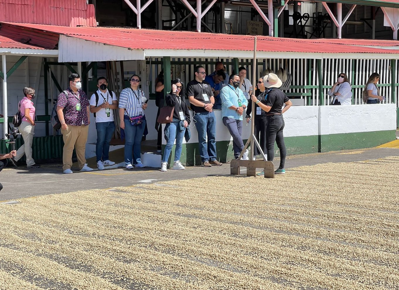 Alajuela: Guidet tur til kaffeplantage med smagning