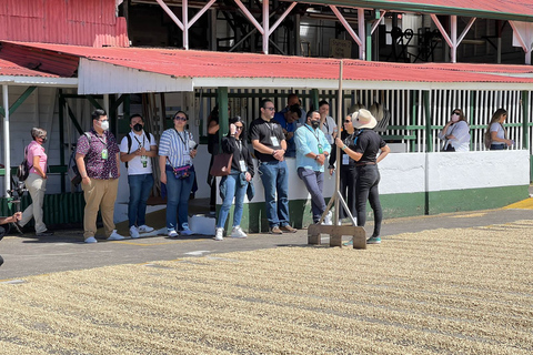 Alajuela: Rondleiding op een koffieplantage met proeverijAlajuela: rondleiding koffieplantage met proeverij