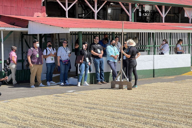 Alajuela: Tour guidato delle piantagioni di caffè con degustazioneAlajuela: visita guidata alla piantagione di caffè con degustazione