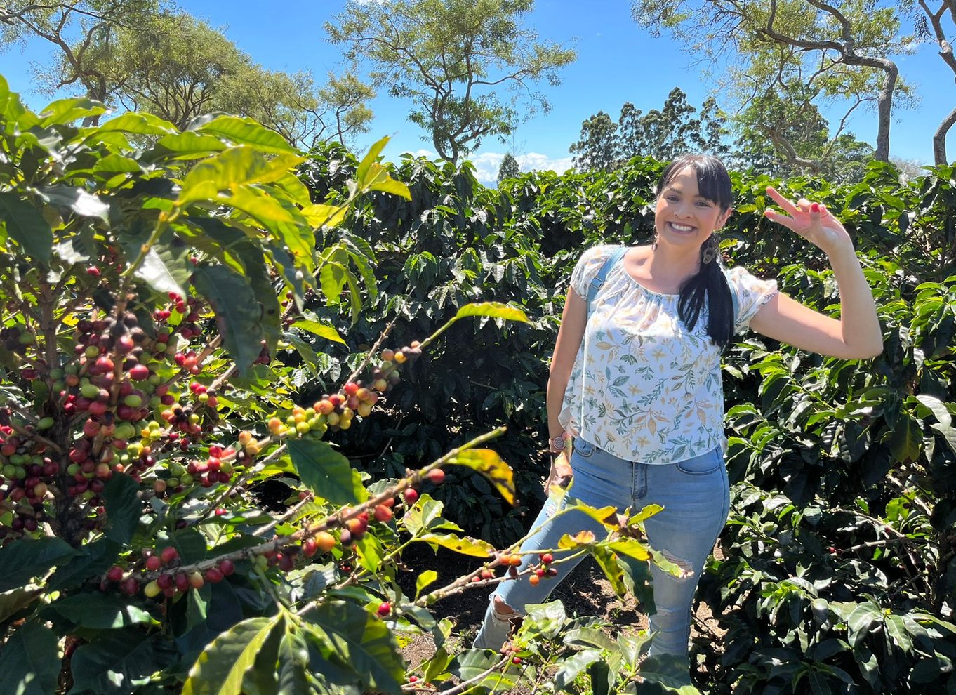 Alajuela: Guidet tur til kaffeplantage med smagning