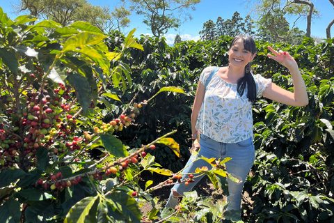 Alajuela: Geführte Tour durch die Kaffeeplantage mit Verkostung