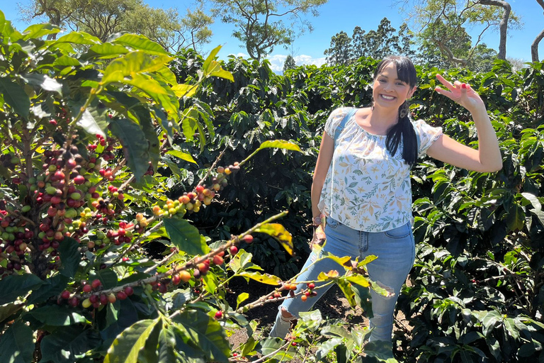 Alajuela: Rondleiding op een koffieplantage met proeverijAlajuela: rondleiding koffieplantage met proeverij