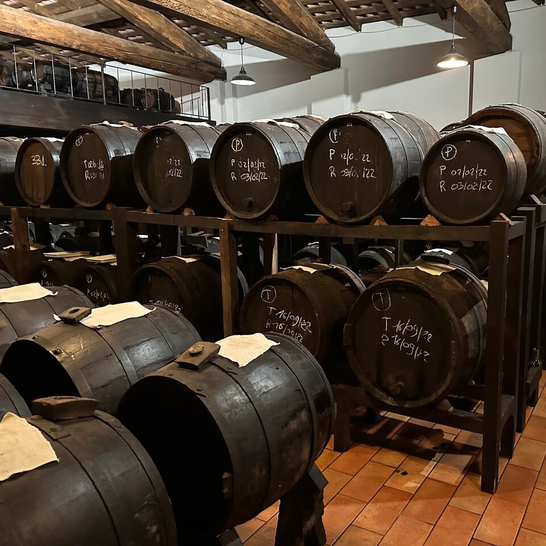 Galerie média