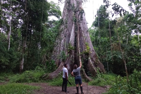 Iquitos: Tour Privado de Expedición por el Amazonas | 4 Días