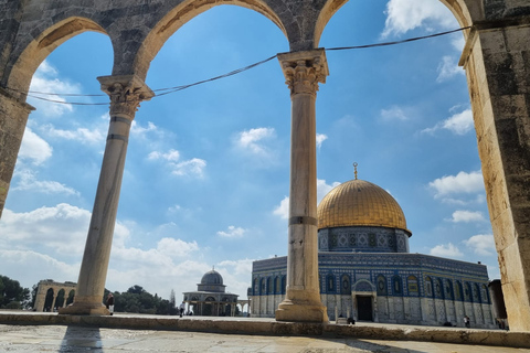 Gerusalemme: tour a piedi della città vecchia con opzione privata