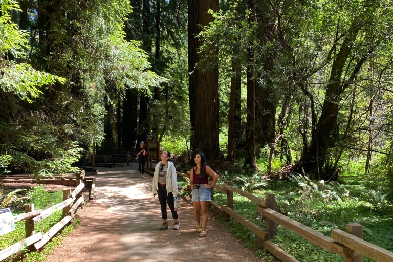 Cały dzień — Giant Redwoods i San Francisco — prywatna wycieczkaCały dzień — zwiedzanie gigantycznych sekwoi i San Francisco — prywatny t