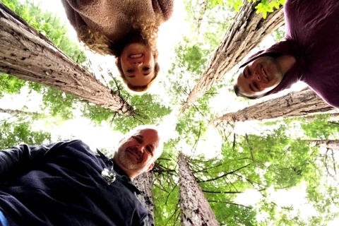 Journée complète - Redwoods géants et San Francisco - Visite privéeJournée complète - Explorez les séquoias géants et San Francisco -Privé t