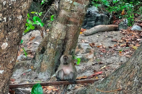 Ko Lanta : Excursion unique de plongée avec masque et tuba sur 4 îles avec déjeunerVisite partagée