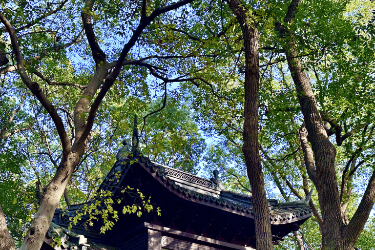 Shanghai: Sheshan Hill Private Tour with Hotel Pickup