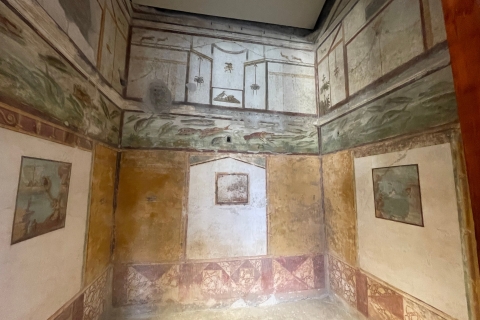 Pompeii: ticket en rondleiding inclusief bezoek aan Regio V-siteRondleiding in het Italiaans