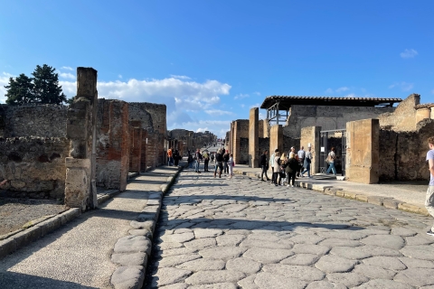 Pompeje: bilet i wycieczka, w tym wizyta w miejscu Regio VWycieczka z przewodnikiem po włosku