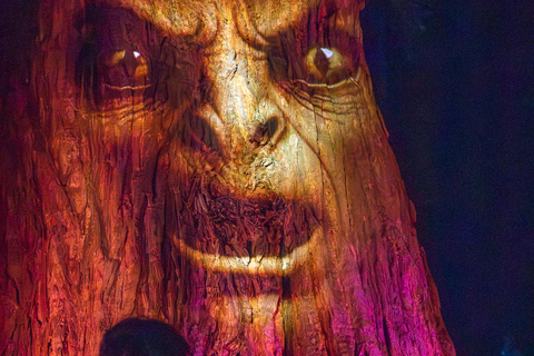 Queenstown: Whimsical Sensory Night Walk at LUMA Enchanted LUMA Enchanted - sensory illuminated walk