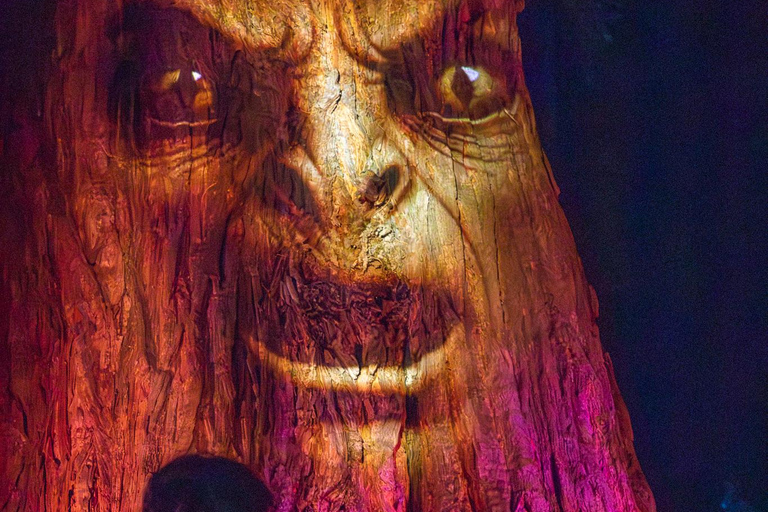 Queenstown: Whimsical Sensory Night Walk at LUMA Enchanted LUMA Enchanted - sensory illuminated walk