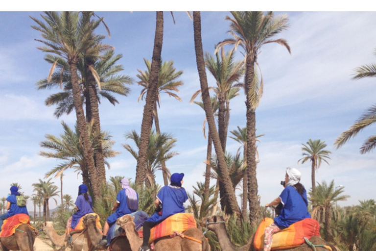 Marrakesh: kamelenrit palmbos met theepauzeKamelenrit palmbos met theepauze