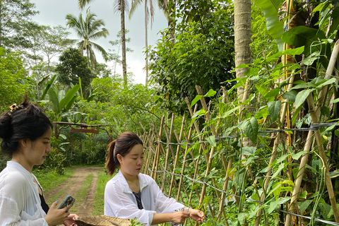 From Ubud: Balinese Cooking Class at an Organic Farm Balinese Cooking Class: Regular Menu