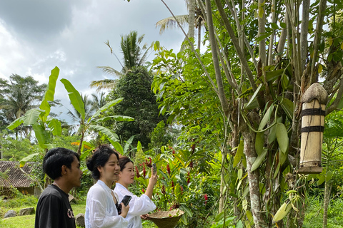 Ubud: Balinesisk matlagningskurs på en ekologisk gårdStandardalternativ