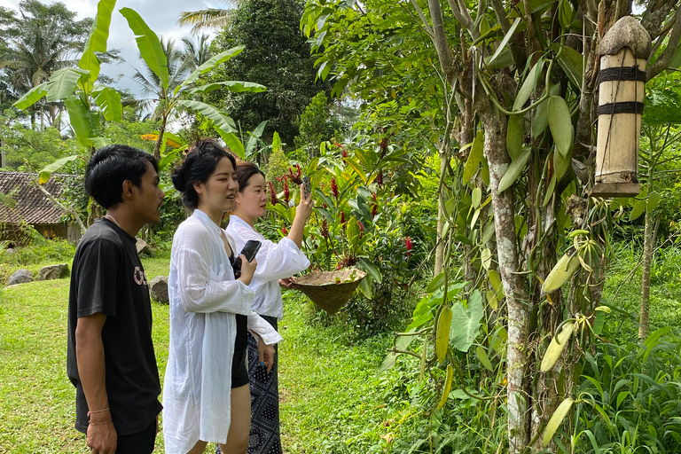 Ubud: Balinesisk matlagningskurs på en ekologisk gårdStandardalternativ