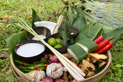 Ubud: lekcja gotowania po balijsku na farmie ekologicznejLekcja gotowania: menu wegetariańskie lub wegańskie