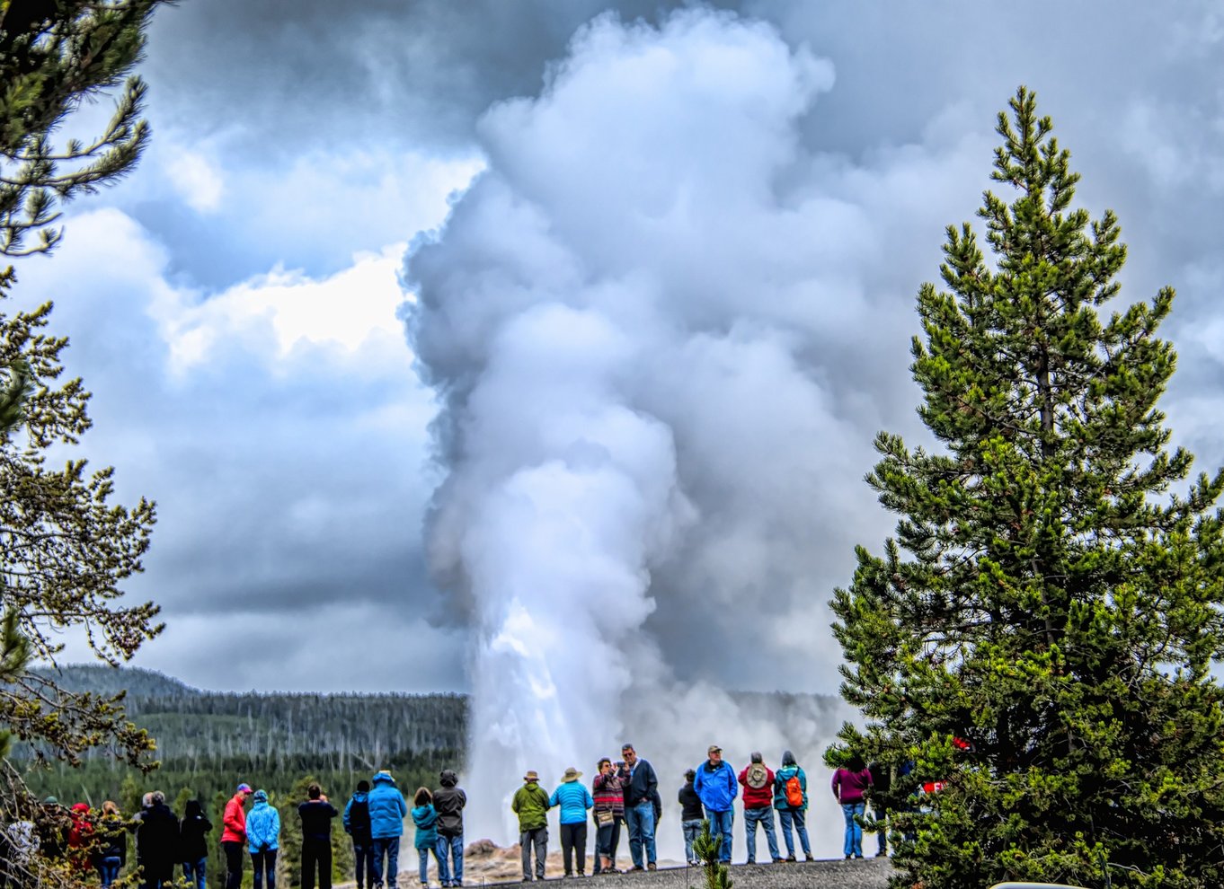 Fra Jackson: Dagsudflugt til Yellowstone National Park med frokost