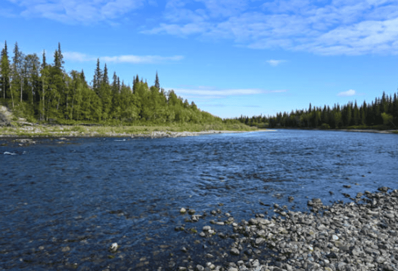 Snake River Full–Day Group Fishing Trip