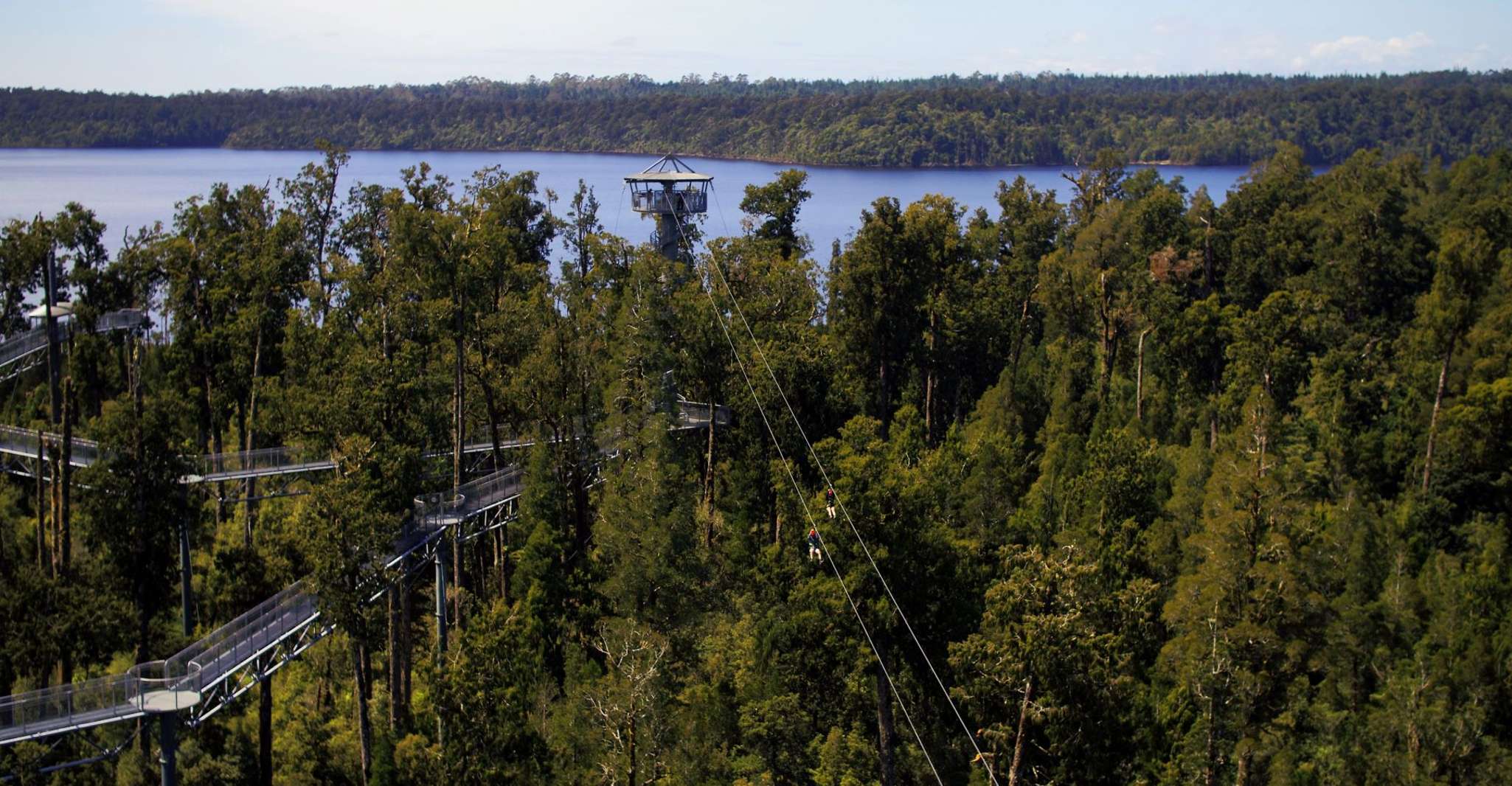 Hokitika, West Coast Tree Top Tower Zip Line and Walk, Hokitika, New ...