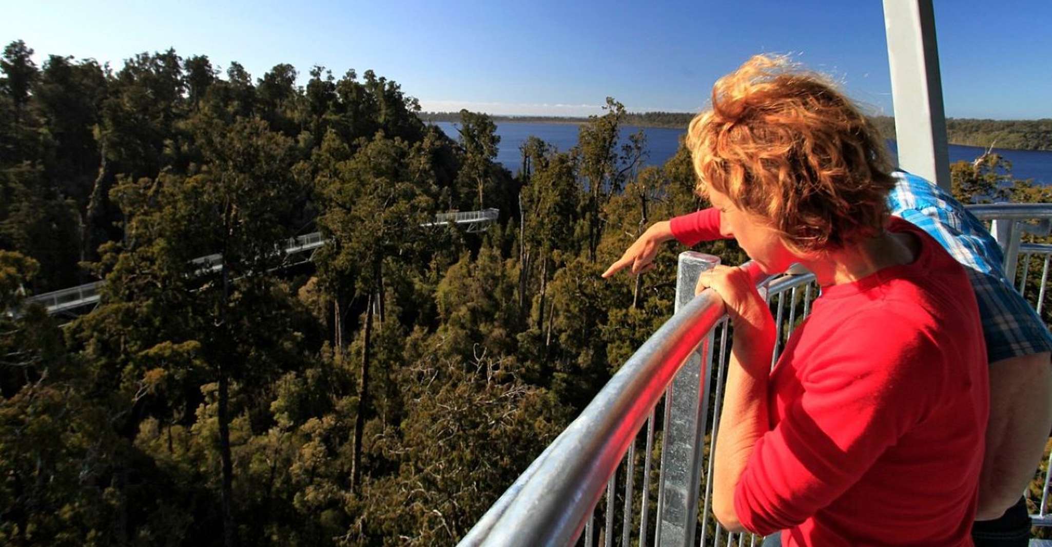 Hokitika, West Coast Tree Top Tower Zip Line and Walk - Housity