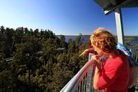 Hokitika, West Coast Tree Top Tower Zip Line and Walk - Housity
