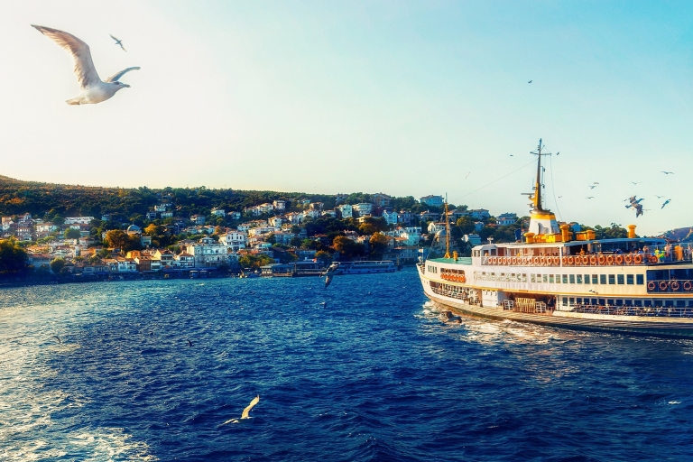 Istanbul: Prince Island-reis met elektrische autotour en lunch