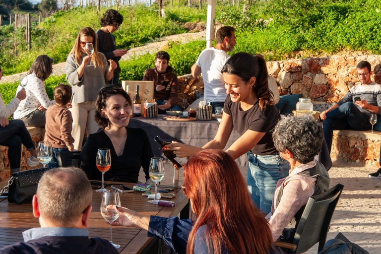 Porches: Visita a los Viñedos del Algarve y Cata de Vinos