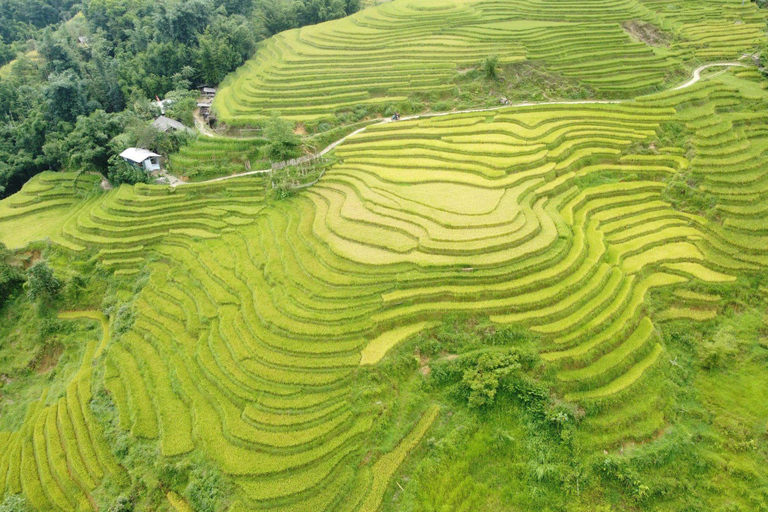 Pacchetto Sapa Tour di 1 giorno e 1 notte con trekking