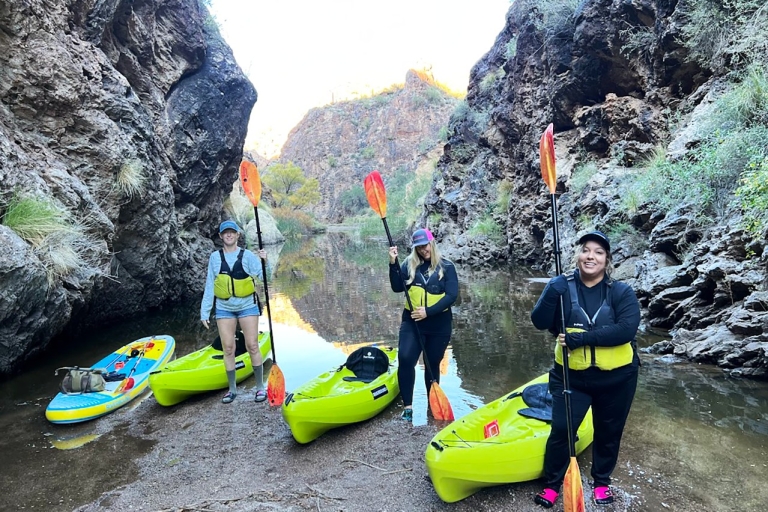Área de Phoenix: Excursión guiada en kayak de 3 horas por el lago Saguaro