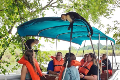 Private Panama Canal Boat Eco Tour and Monkey Island