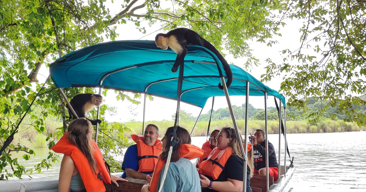 Monkey Island Eco Cruise Tour Inside The Panama Canal Getyourguide