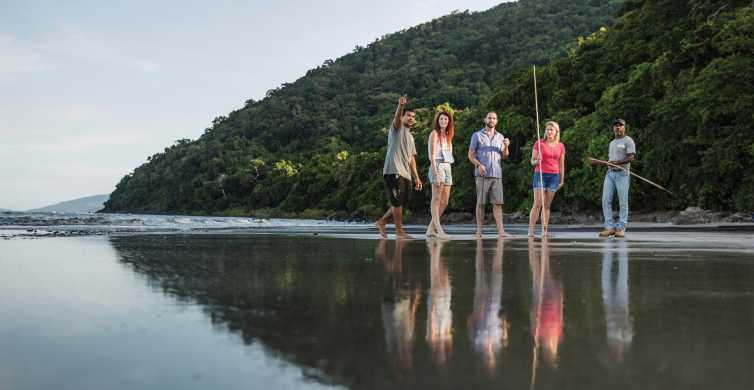 Port Douglas Half Day Daintree Cultural Tour GetYourGuide