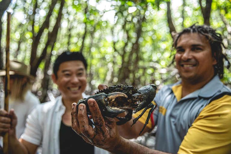 Port Douglas: Afternoon Half Day Daintree Cultural Tour