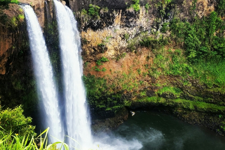 Kauai: randonnée privée dans la jungle et l'eucalyptus arc-en-ciel