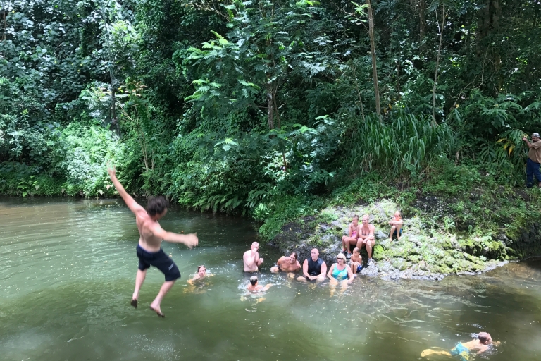 Kauai: privé-jungle en Rainbow Eucalyptus-wandeling
