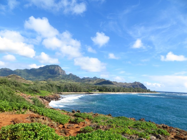 Visit Kauai Private Tortoises, Caves, and Cliffs South Shore Hike in Hanalei