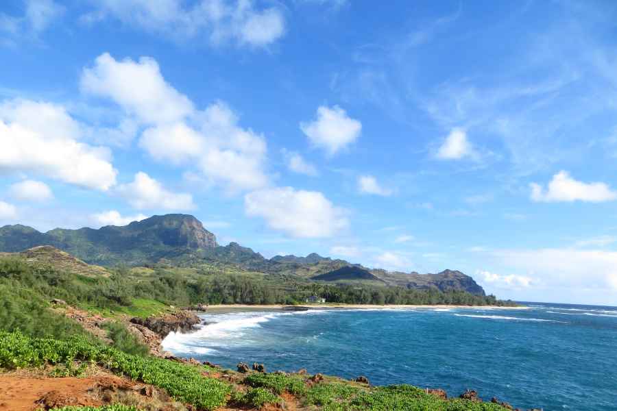 Kauai: Private Schildkröten-, Höhlen- und Klippenwanderung an der Südküste. Foto: GetYourGuide