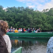 Caroni Bird Sanctuary: Wildlife Swamp Tour. | GetYourGuide