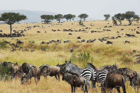From Zanzibar: 2-Day Serengeti Park Safari Tour with Flights