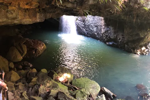 Brisbane: Springbrook und Mt Tamborine Rainforest Tagestour
