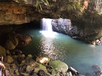 Tour del giorno della foresta pluviale di Brisbane, Springbrook e Mt Tamborine - Hizvo