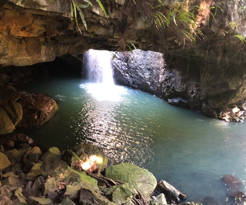 Brisbane: Springbrook and Mt Tamborine Rainforest Day Tour
