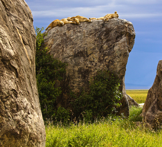 Tours en rondleidingen in Rusland