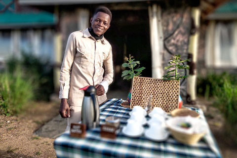 Z Zanzibaru: 4-dniowe safari w Serengeti z lotamiZ Zanzibaru: 4-dniowe safari w parku Serengeti z lotem