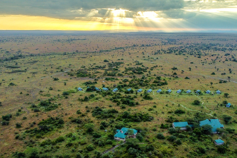 Von Sansibar aus: 4-tägige Safari in der Serengeti mit FlügenAb Sansibar: 4-tägige Serengeti Park Safari mit Flug