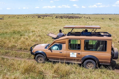 Van Zanzibar: 4-daagse safari in de Serengeti met vluchtenVan Zanzibar: 4-daagse Serengeti Park Safari met vlucht